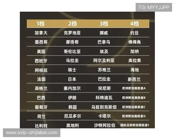 世界杯预选赛欧洲区晋级规则的基本原则与核心要素介绍